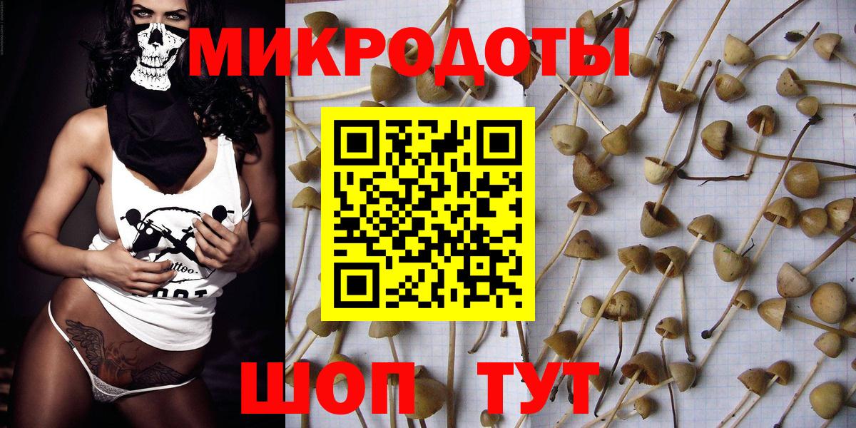 Псилоцибиновые грибы MAGIC MUSHROOMS Лыткарино